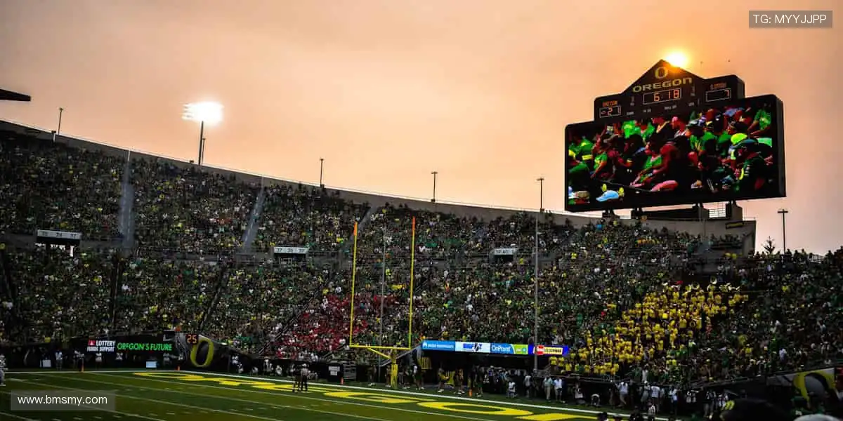 🎁限量周边来袭，做最潮的运动收藏家！